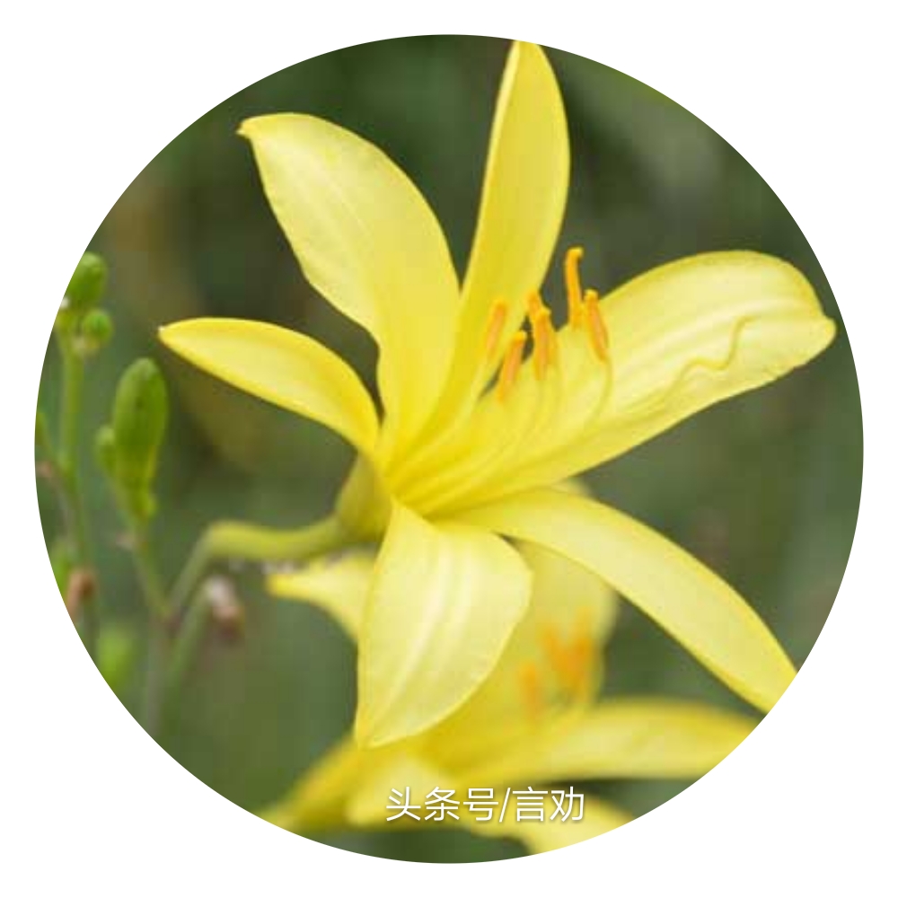 做个真正的蓝颜知己,讲解蓝颜知己