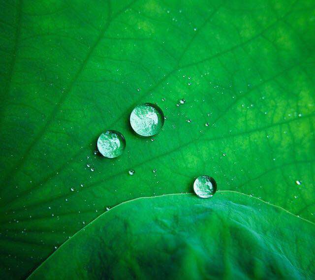 期货简单交易模式,期货专注一个品种做趋势