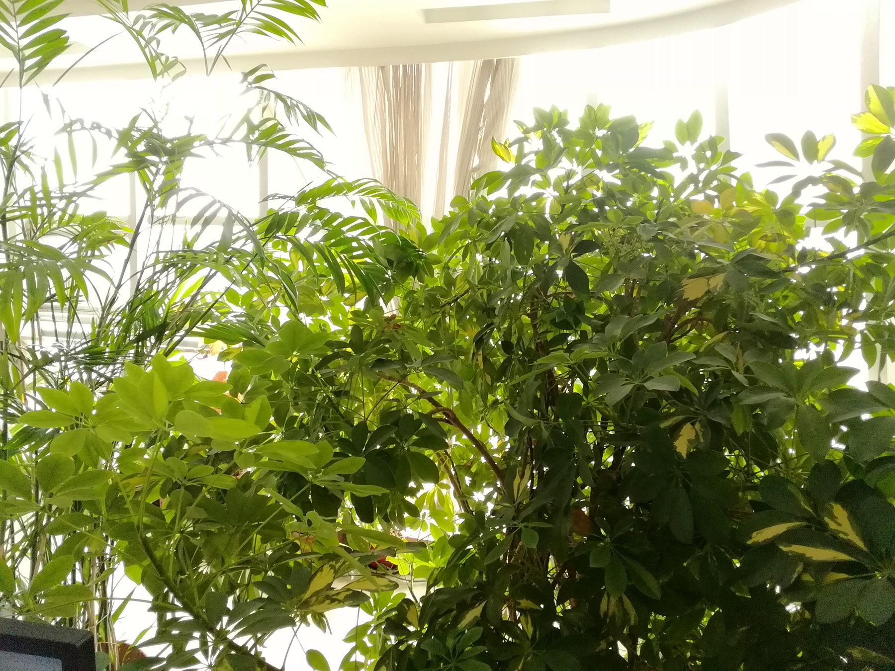 荣耀平板5怎么测试,荣耀平板5咋样