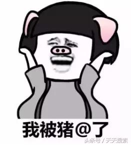 藏香猪卡C位的另类奋斗史