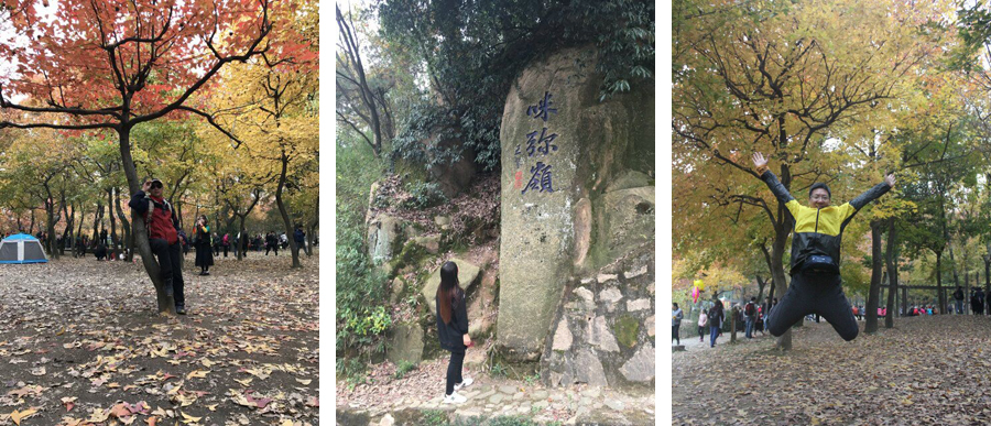 苏州天平山赏枫叶最佳地点,灵白线天平山全程路线详解