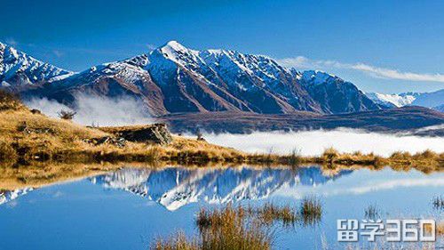 新西兰学历认证方法,新西兰nzqa学历认证