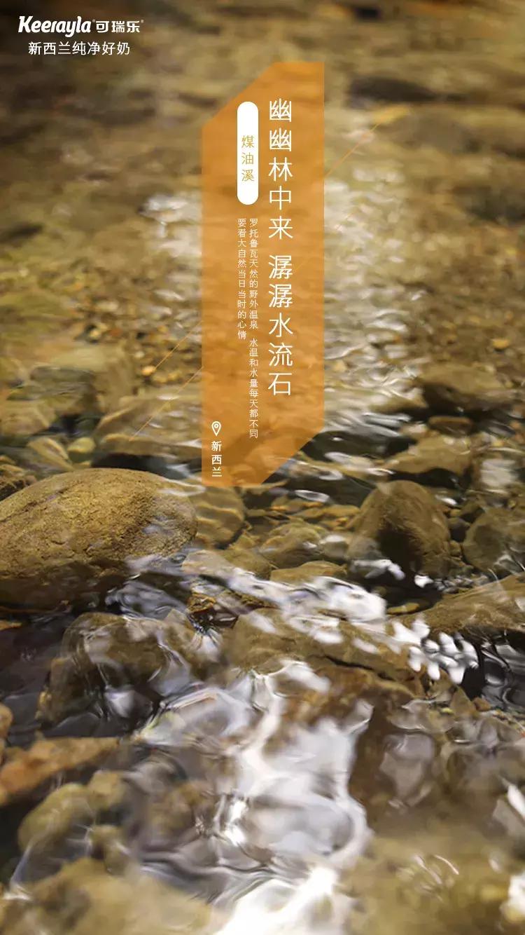 新西兰的奶粉与中国奶粉,新西兰奶粉一批
