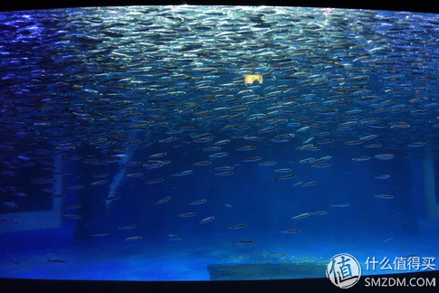 日本旅游签证流水账单,日本旅游要看账户流水不