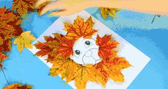 把秋天的落叶变成手工艺术品,秋天大自然手工创意