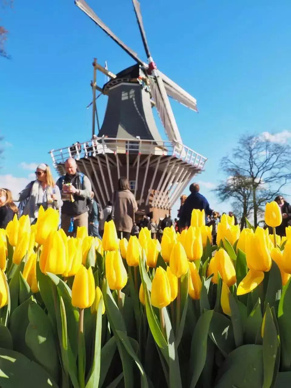 法兰克福机场免税店必买清单,机场免税店小孩必买清单