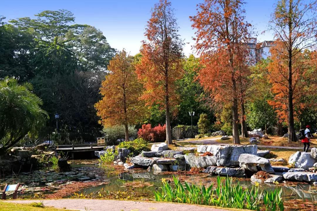 幼儿园秋游活动方案,幼儿园秋游活动准备通知