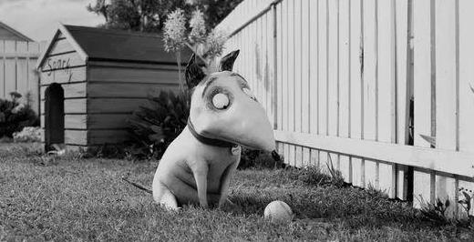 影史最佳10部动画电影,21世纪动画