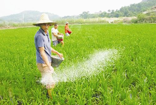 磷肥过多的补救方法,如何避免磷肥过量造成的不良后果