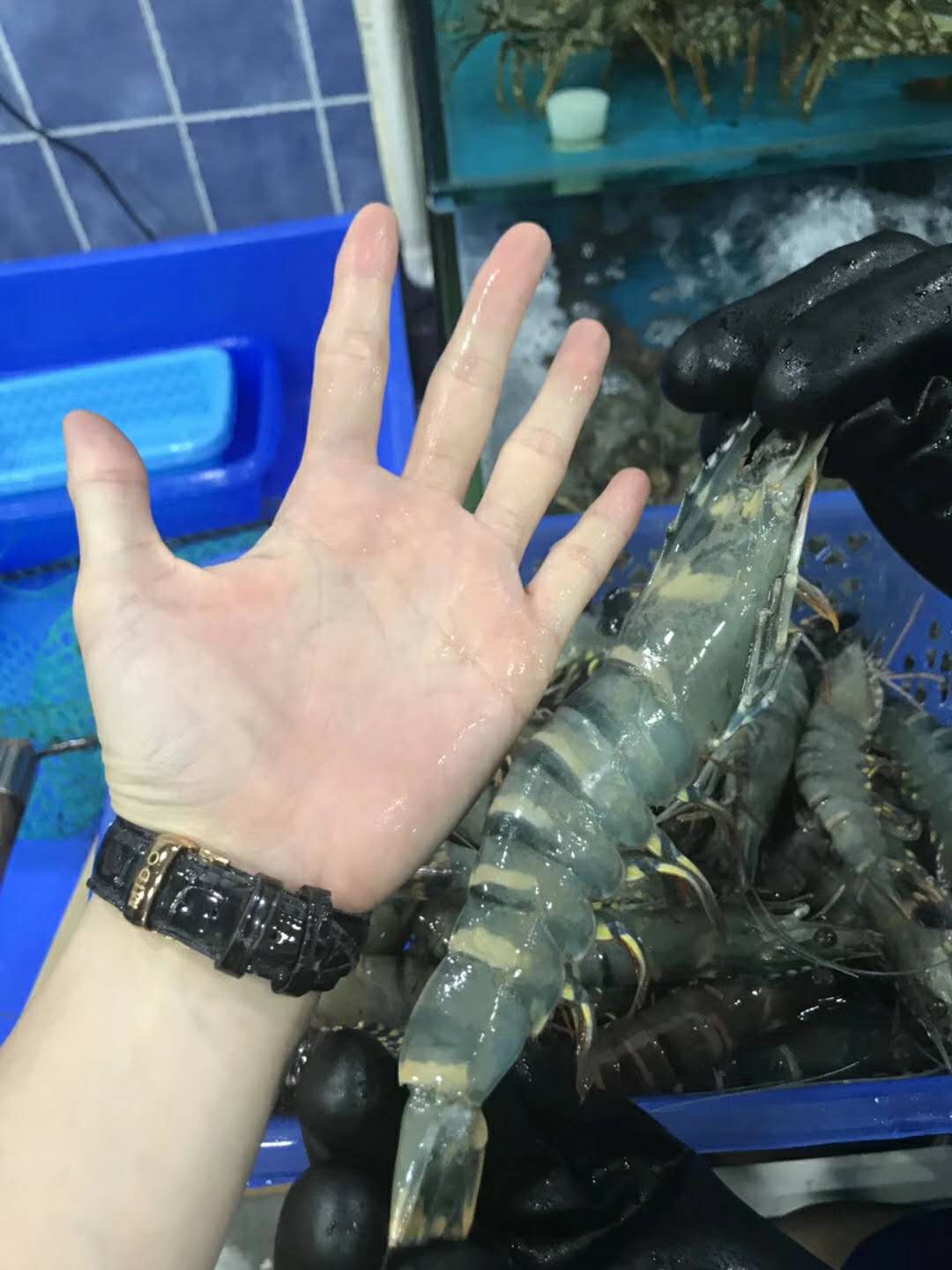 南宁海鲜批发市场一手货源在哪里,南宁海鲜市场性价比高的海鲜