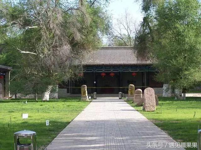 伊犁最美旅游风景区,伊犁旅游攻略探索最美风光