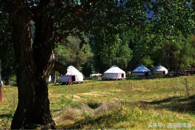 伊犁最美旅游风景区,伊犁旅游攻略探索最美风光
