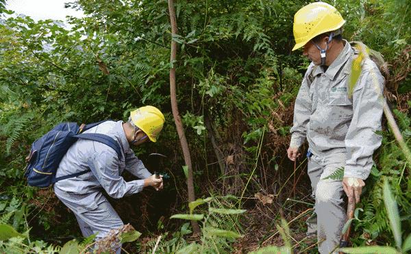 线路树障清理施工方案,电力线路树障清理属于什么行业