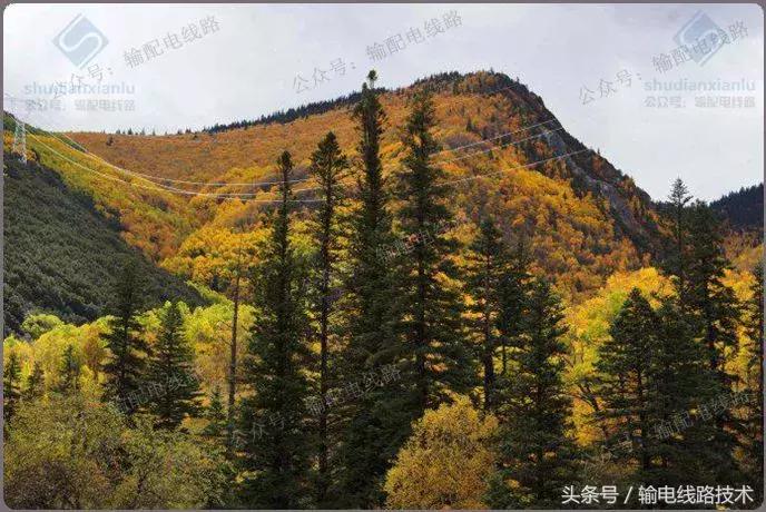 线路树障清理施工方案,电力线路树障清理属于什么行业