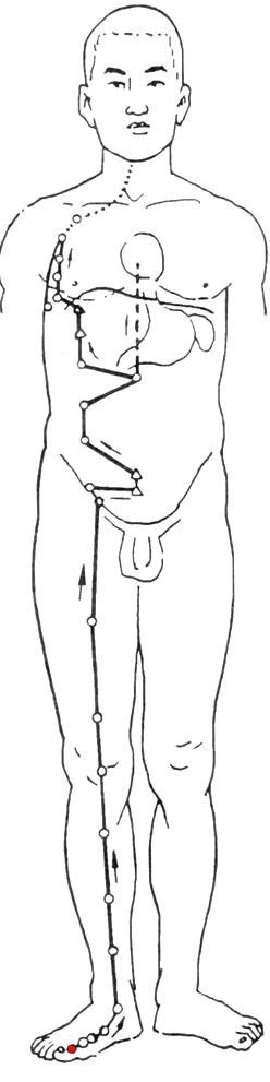 女性经络不通畅症状,男女经络不通有什么症状