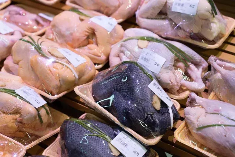 逛水族馆满脑子都是海鲜,水族馆里的海鲜