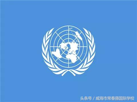 UNODAY｜看IVY的小伙伴们如何致敬联合国日？