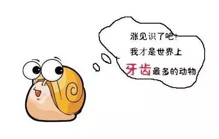 柑橘常见虫子有哪些,蜗牛危害柑橘是怎样的