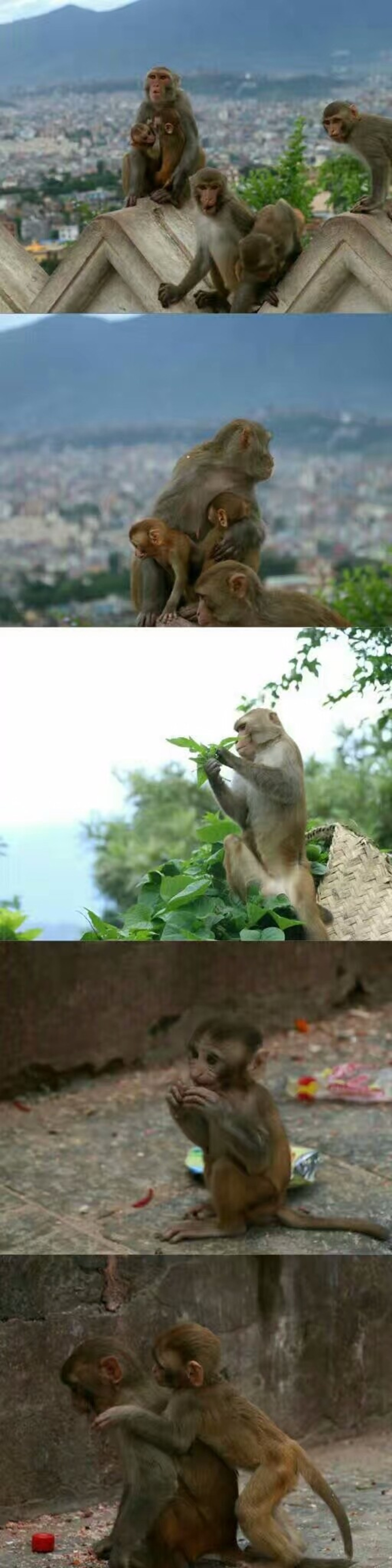 2万元旅游攻略,尼泊尔三日游攻略大全图片