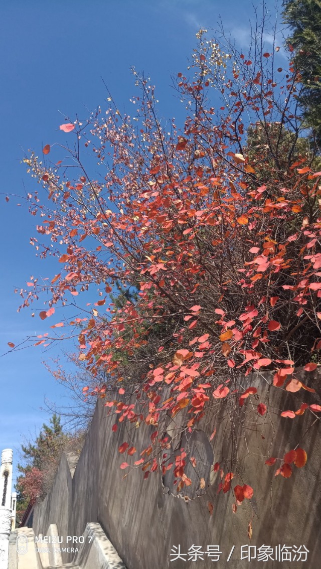 安泽县县城,临汾安泽县属于哪个市