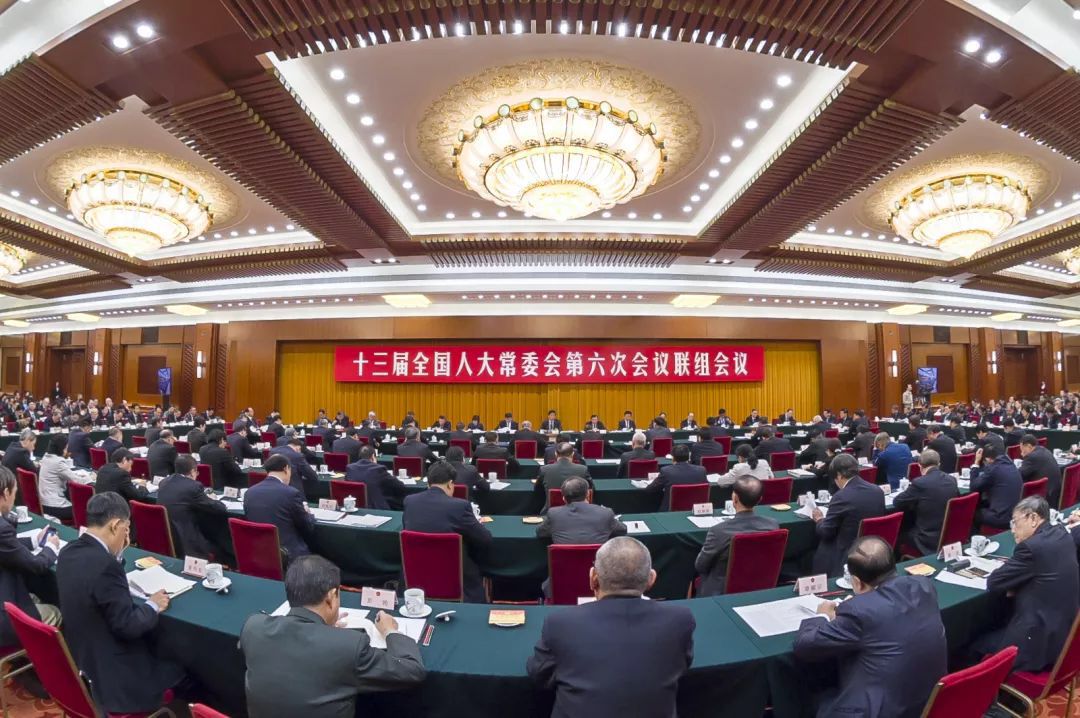 深检君,深检君事件