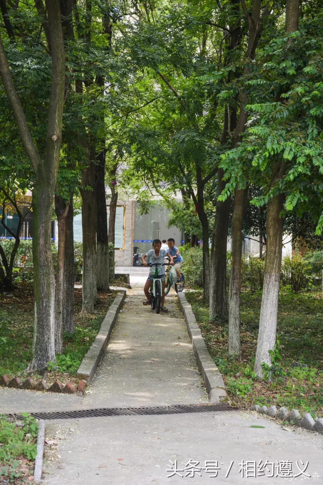 遵义八七厂的照片,遵义八七厂做什么的