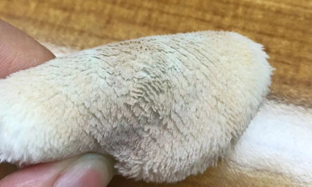 千万不要买的彩妆合集,国货彩妆黑名单