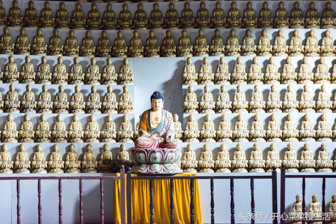这个寺庙有点怪，只有一个和尚和百名肿瘤病人