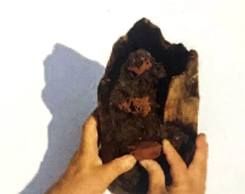 盆景十二技法图片讲解榕树,盆景十二技一法口诀