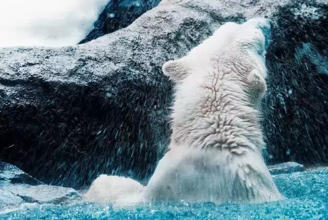冬天去日本北海道的攻略,冬季日本北海道游记