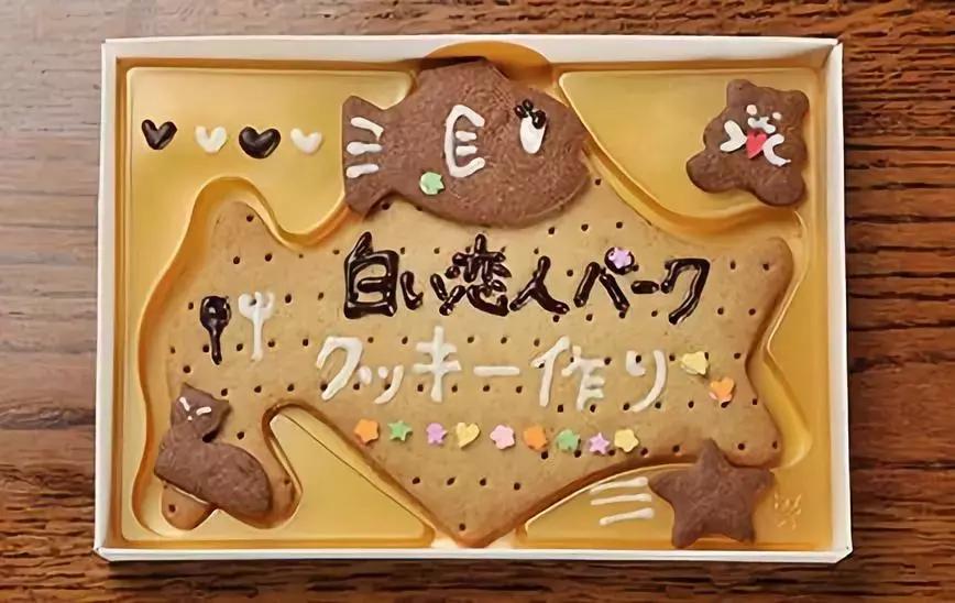 冬天去日本北海道的攻略,冬季日本北海道游记