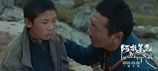 不安利这部讲述*藏西**的优秀国产片，我良心不安！