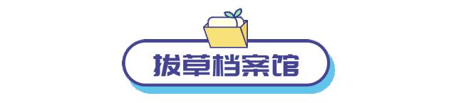 阿迪达斯杭州街头赛,阿迪达斯街头赛杭州