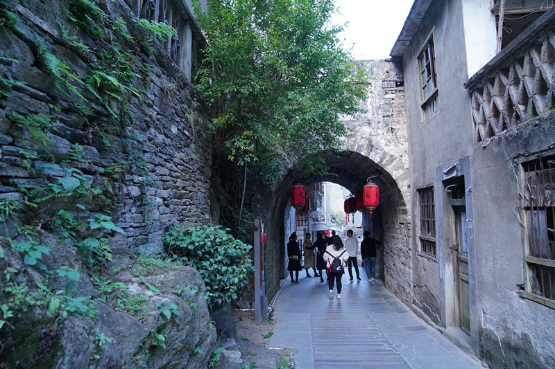 到安康白河县东坡村赶集 游客抢购山货 赏千年银杏 品乡村美食