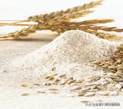 蚂蚁进屋怎么驱赶,蚂蚁进家了用什么能赶走