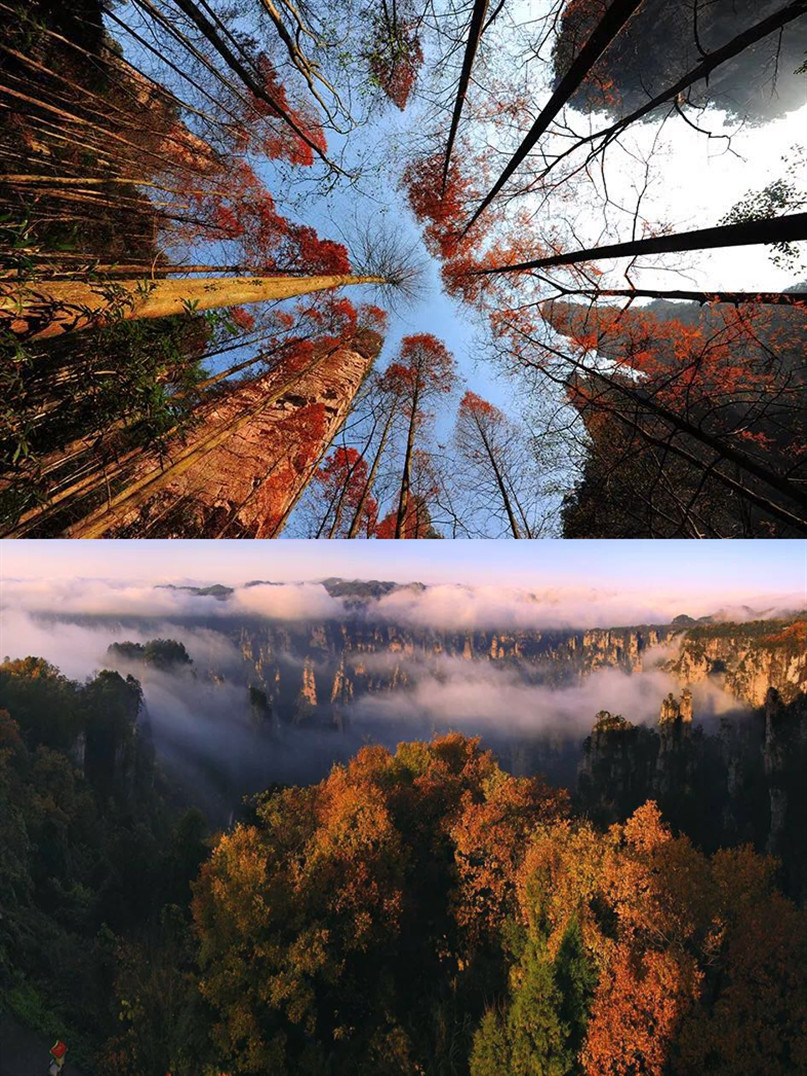 张家界旅游攻略秋天美景,张家界秋天旅游攻略图