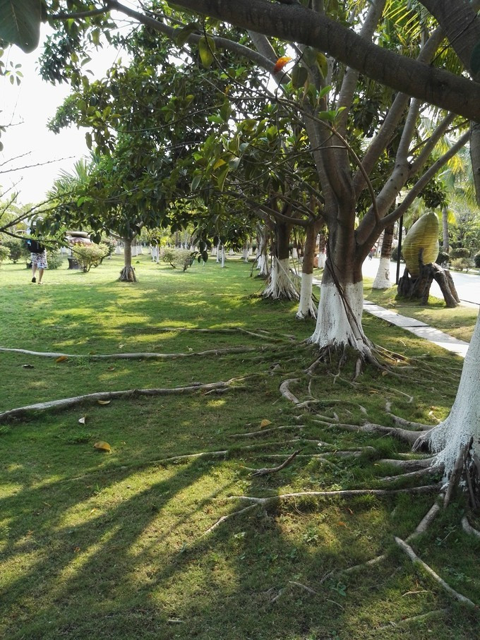 美丽的三亚蓝天白云,三亚蓝天白云美景