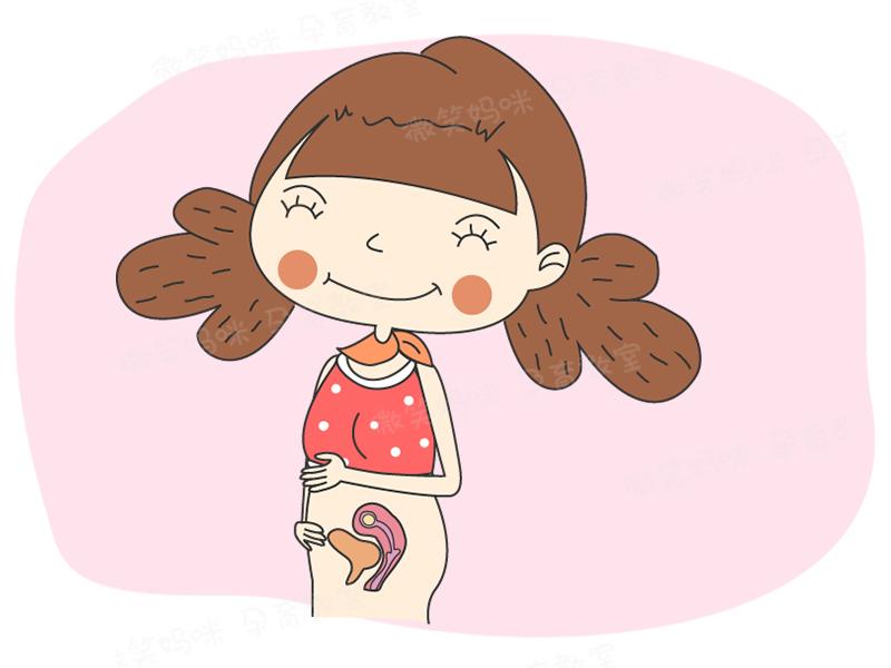 胎儿发育40周全过程注意事项,双胞胎胎儿发育40周全过程