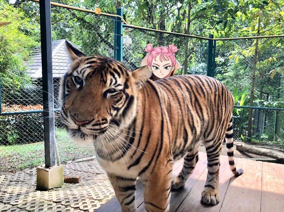 长发美美Sia丫丫带你游遍纸醉金迷曼谷小清新清迈