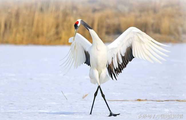 黑龙江的地理气候,黑龙江省地形地貌与气候特征