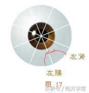 经方学习讲座,经方学堂分享