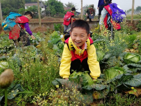 壹心壹版《好好学习》走红抖音!1300万*放播**量,唱出老师良苦用心