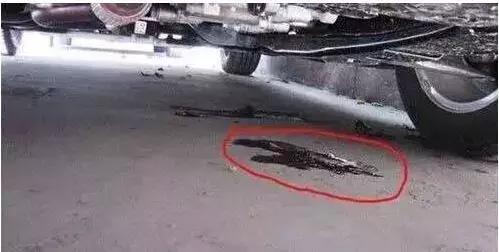 车子机油加多了怎么吸出来,机油加多了车子跑不动怎么办