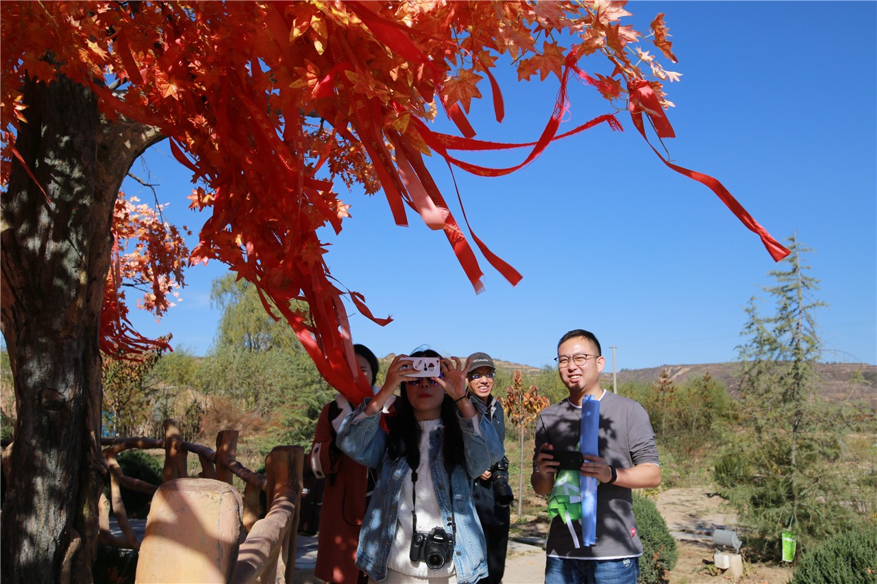 甘肃精彩之旅,甘肃壮美丝路