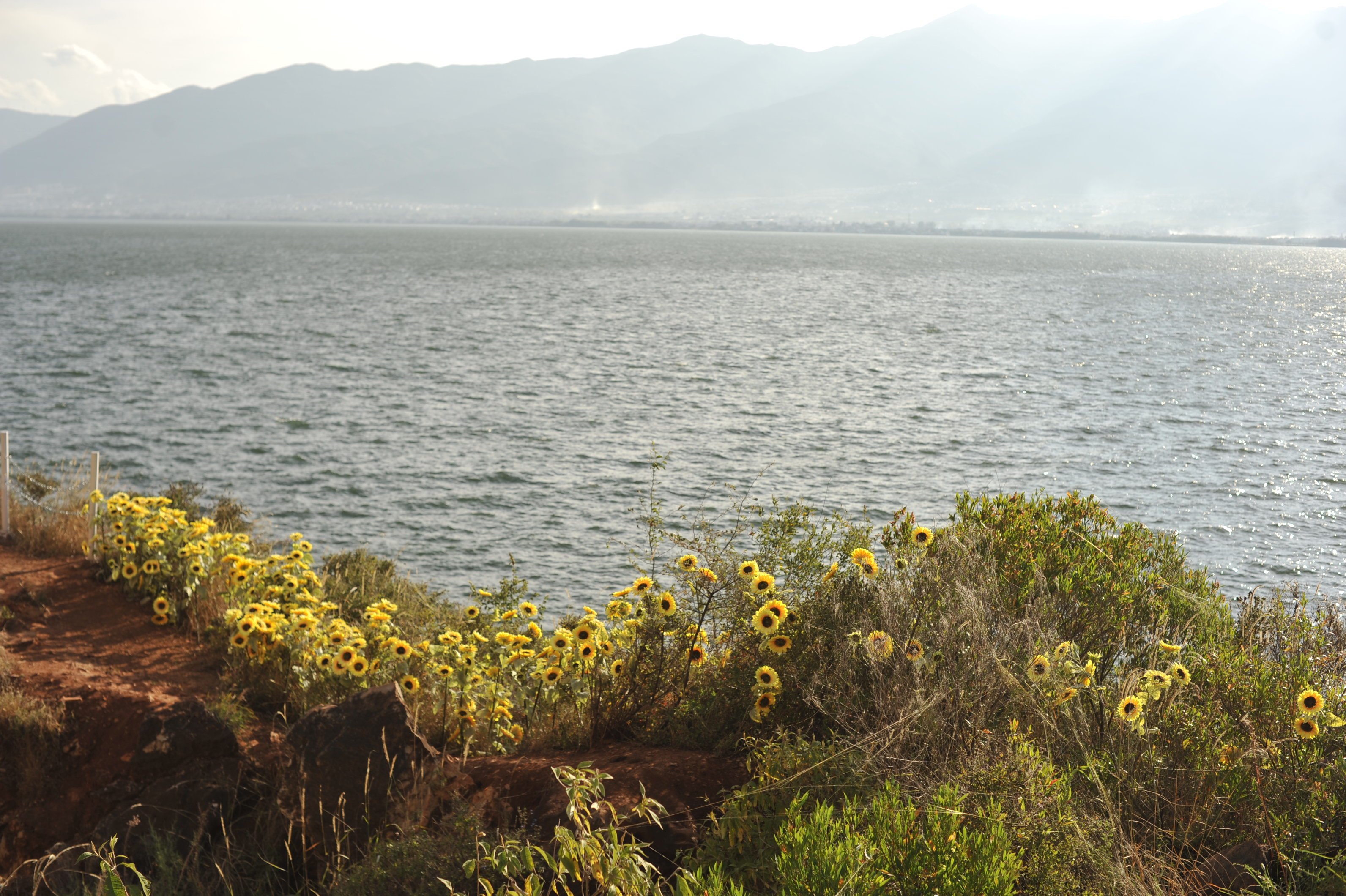 大理丽江云南旅游攻略,丽江大理自由行攻略6天5晚