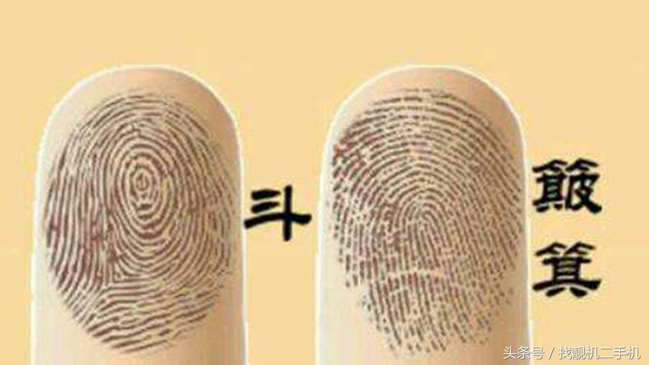 手指纹路9个斗一个簸箕什么意思,手指上的斗和簸箕分别代表什么