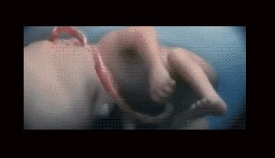 22周胎儿在肚子里的视频,22周胎儿在腹中真实照片