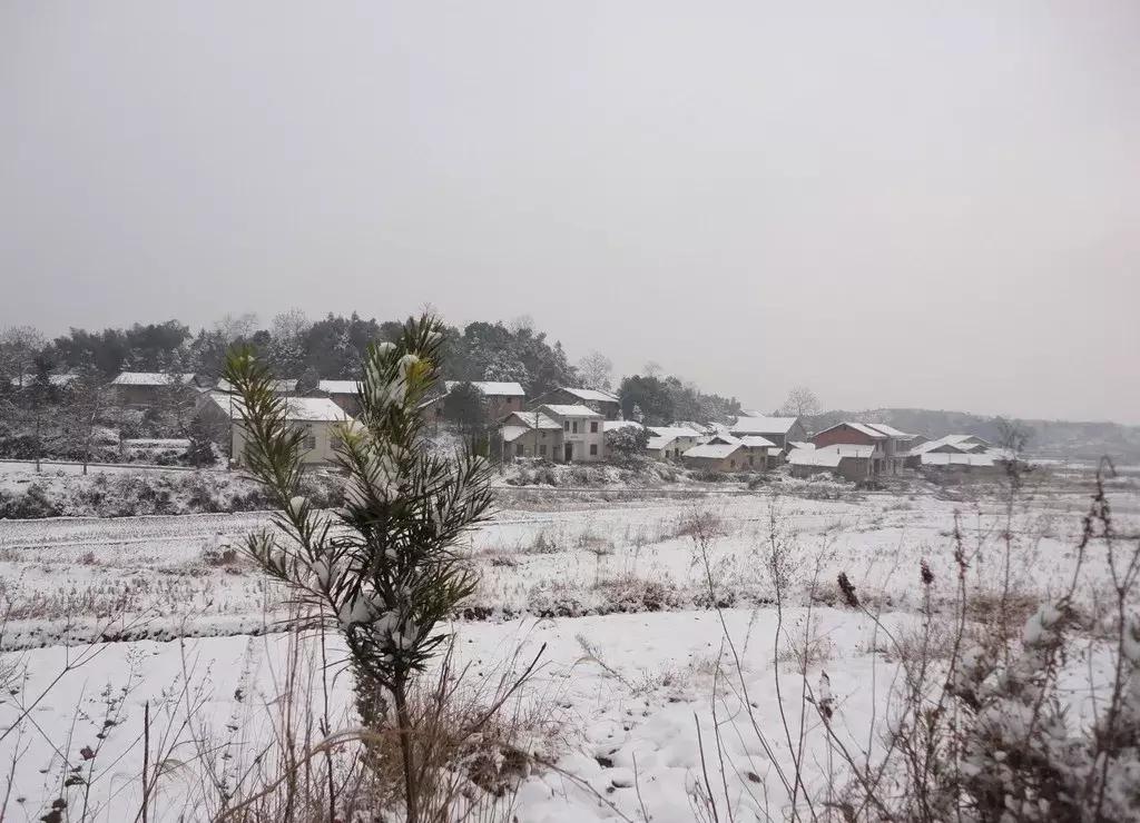 重庆冬天看雪景点,重庆最近看雪景的十大绝佳地点