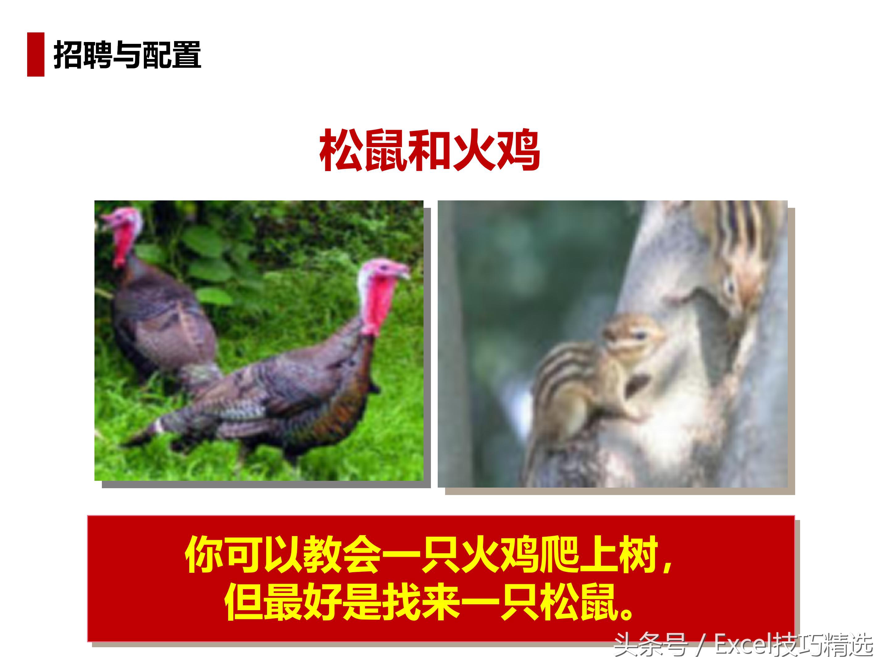 人力资源导向培训课件,人力资源六大模块ppt