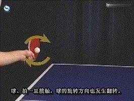 乒乓球的基本知识与打法视频,乒乓球入门理论知识